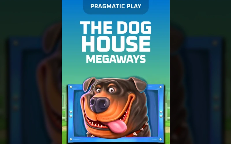 Enjoy up to thousands of winning ways in The Dog House Megaways slot at Thrill.